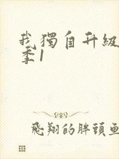 我独自升级第三季1封面