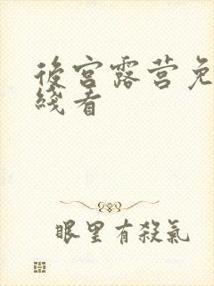 后宫露营免费在线看封面