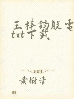 王梓钧朕电子书txt下载