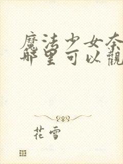 魔法少女奈叶在哪里可以观看