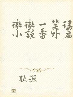 微微一笑很倾城小说番外篇封面