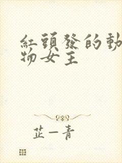 红头发的动漫人物女主