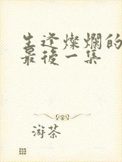 生逢灿烂的日子最后一集