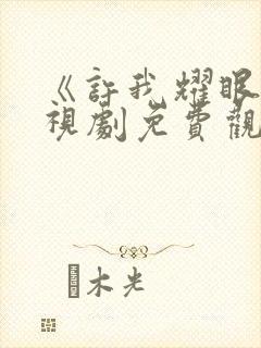 《许我耀眼》电视剧免费观看全集