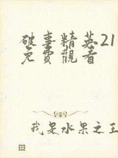 破事精英21集免费观看封面