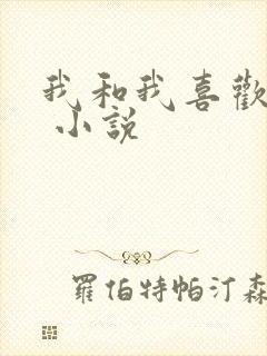 我和我喜欢的你 小说