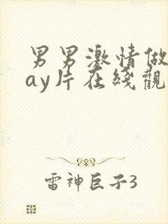 男男激情做爰gay片在线观看封面