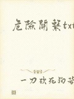 危险关系txt封面