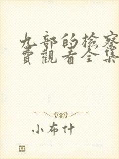 九部的检察官免费观看全集13集封面