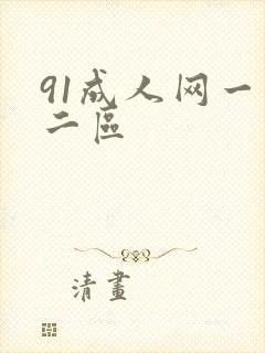 91成人网一区二区