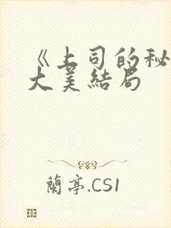 《上司的秘密》大美结局