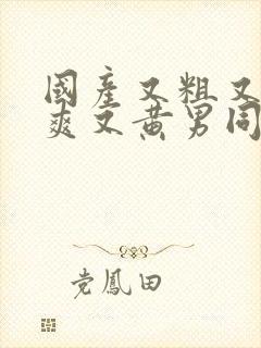 国产又粗又猛又爽又黄男同