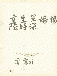 重生军婚杨念念陆时深
