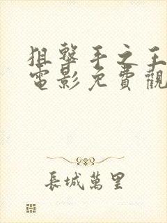 狙击手之王暗杀电影免费观看国语