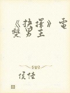 《抉择》电视剧双男主