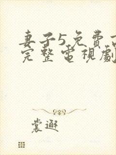 妻子5免费高清完整电视剧情年轻母亲