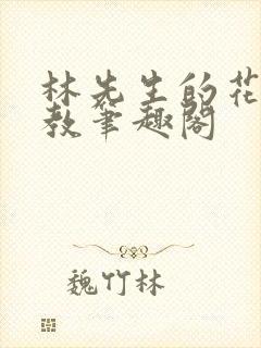 林先生的花式管教笔趣阁