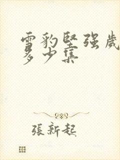 雪豹坚强岁月共多少集封面