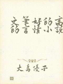 文笔好的高质量的言情小说