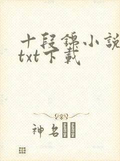 十段锦小说全本txt下载