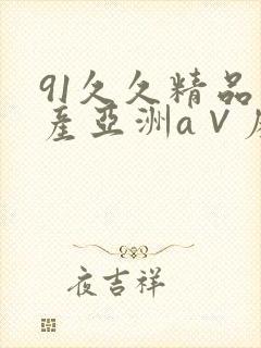 91久久精品国产亚洲a∨麻豆