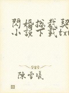 闪婚总裁契约妻小说下载txt封面