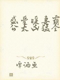 盛爱暖妻霸道老公太凶猛全文阅读