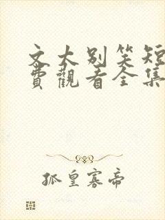 文太别笑短剧免费观看全集