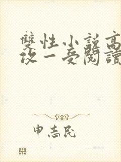 双性小说高h多攻一受阅读封面