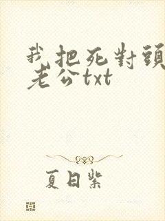 我把死对头养成老公txt封面