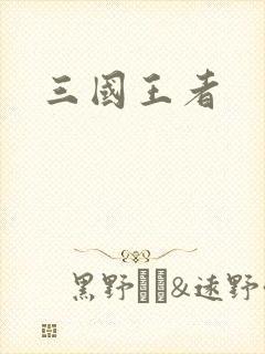 三国王者