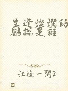 生逢灿烂的日子鹏总是谁