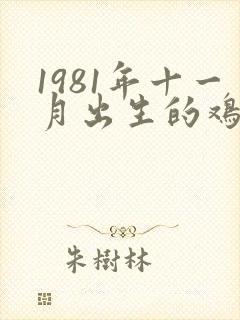 1981年十一月出生的鸡女命运