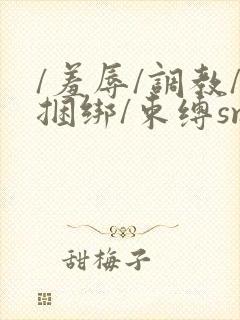 /羞辱/调教/捆绑/束缚sm双男小说