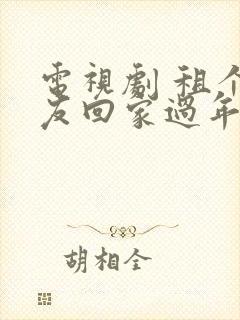 电视剧 租个女友回家过年