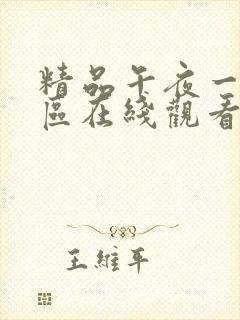 精品午夜一区二区在线观看