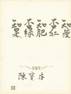 知否知否知否应是绿肥红瘦一共多少集