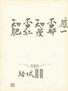 知否知否应是绿肥红瘦哪一年播出的封面