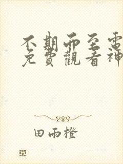 不期而至电视剧免费观看神马影院