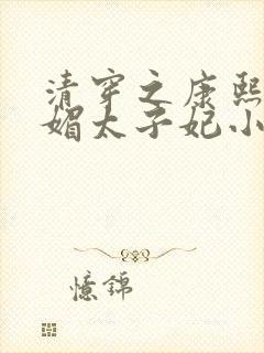 清穿之康熙的娇媚太子妃小说