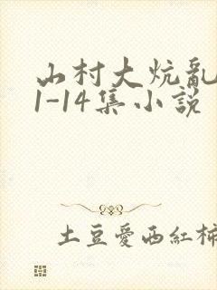 山村大炕乱肉续1-14集小说