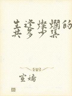 生逢灿烂的日子共多少集