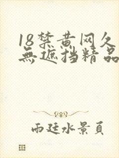 18禁黄网久久无遮挡精品网封面