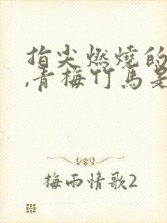 指尖燃烧的热情,青梅竹马是消防员