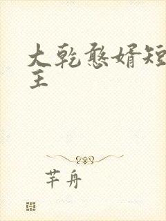 大乾憨婿短剧女主