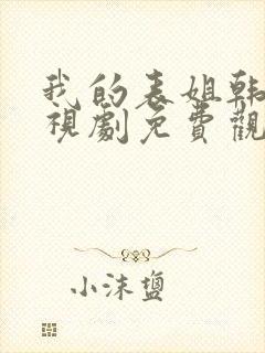 我的表姐韩剧电视剧免费观看在线