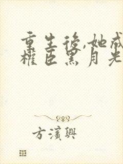 重生后,她成了权臣黑月光原著作者封面