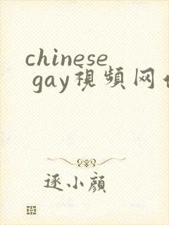 chinese gay视频网站