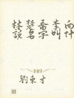 林楚乔李向南小说名字叫什么封面