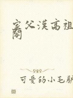 家父汉高祖笔趣阁